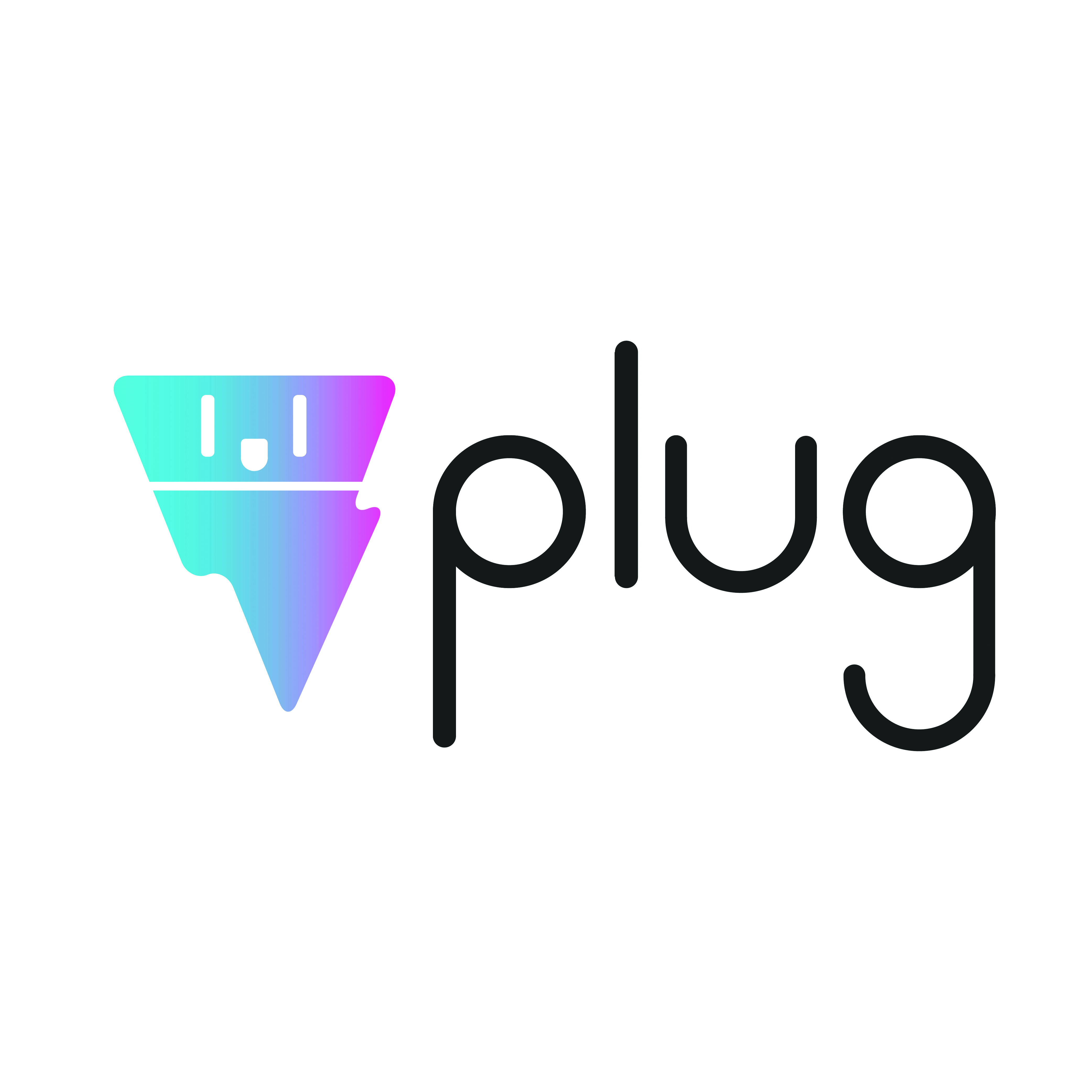 Plug Logo